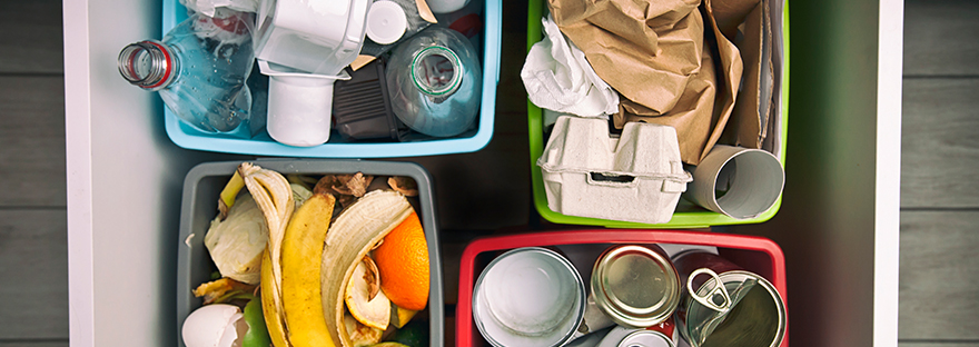 Desperdicio de alimentos y pérdida de peso