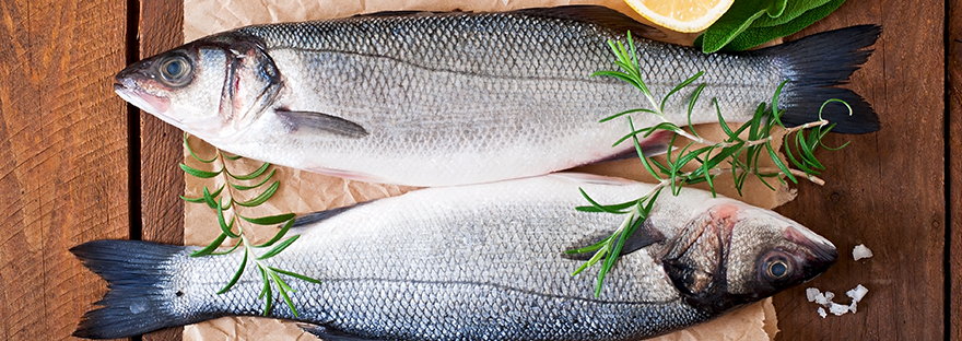 La importancia del consumo de pescado en la pérdida de peso